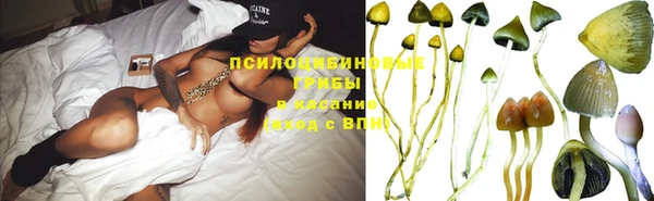 мдпв Лагань