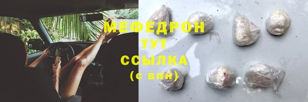 мдпв Лагань