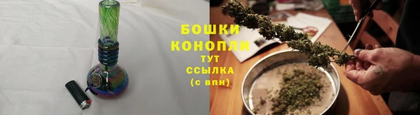 мдпв Лагань
