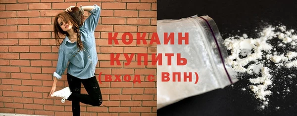мдпв Лагань