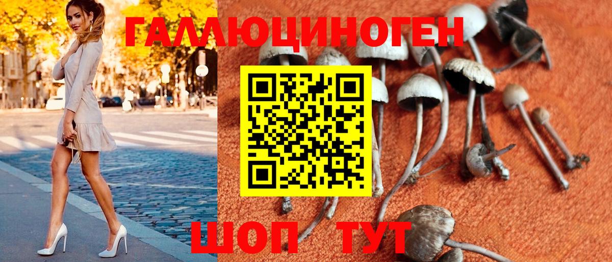 Псилоцибиновые грибы Cubensis Фурманов